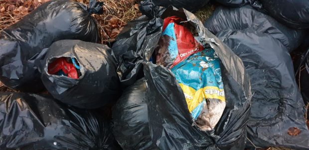 Fly-tipping at Clootie Well