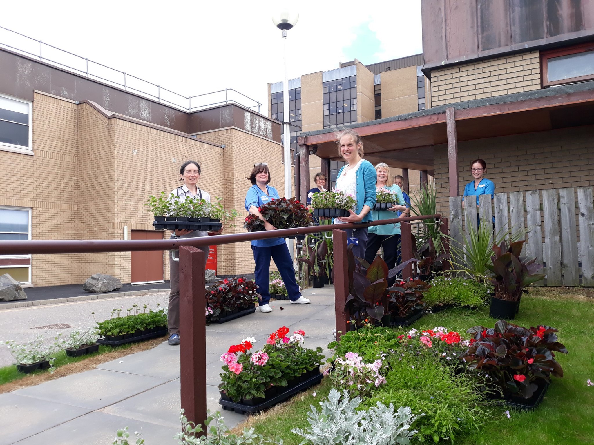 Staff at Raigmore Hospital welcome generous donation of plants from Inverness Botanic Gardens.