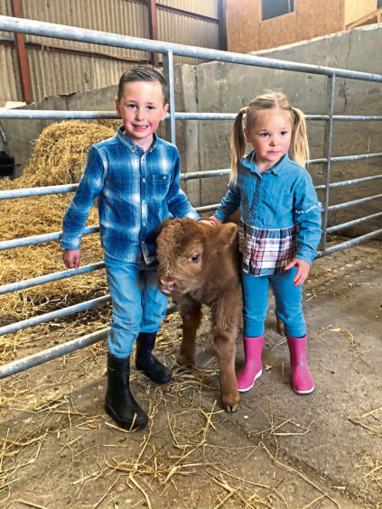 Jack Johnston Ireland, 5, and his sister Ivy-Rose, 3, with a Highland calf named Boris after Boris Johnson.