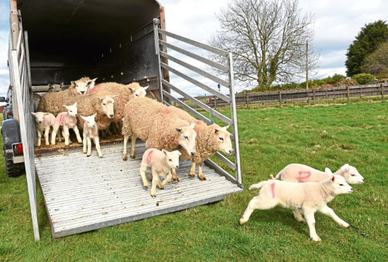 The funding was awarded by rural insurer NFU Mutual.