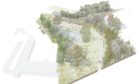 An artists impression of the planned woodland path at Foresterhill.