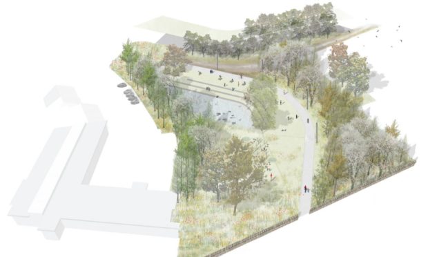 An artists impression of the planned woodland path at Foresterhill.