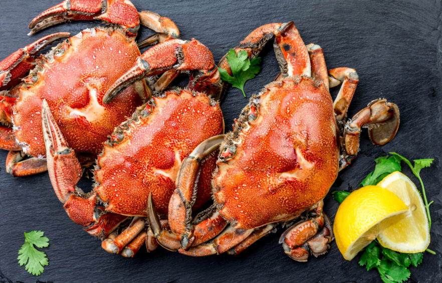 Season's Eatings: Why crab should feature on your ingredients list