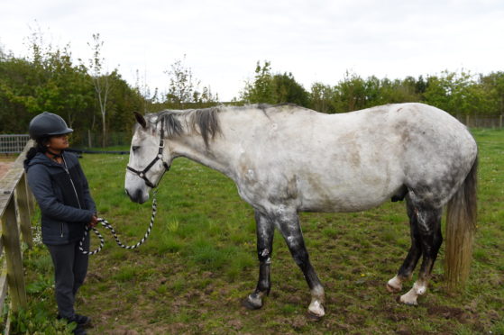 Disha Nandish with her horse after it had been freed

Picture by Paul Glendell     13/05/2020