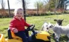 Fiona Davidson sent in this picture of her 11-month-old son Murdo Davidson checking his pet lambs near Mintlaw.