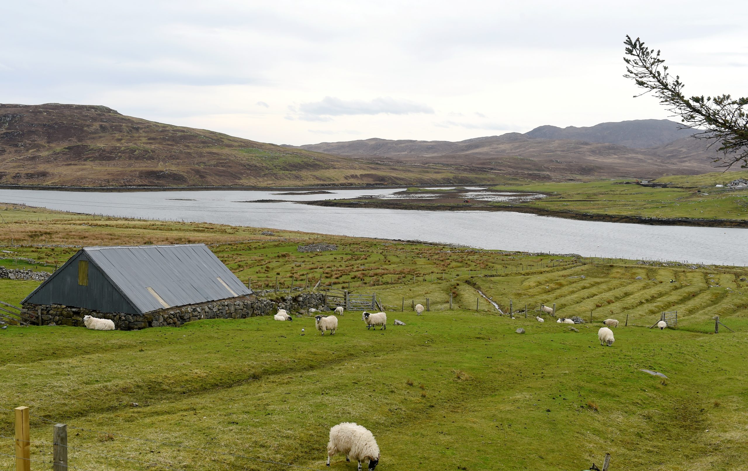 Picture by SANDY McCOOK    11th May '18
Lewis filers. The crofting village of Balallan in the foreground with the South Lochs peninsula beyond. There are plans to build supertubines on the Eisgein (Eisgean) Estate which forms part of the peninsula.
