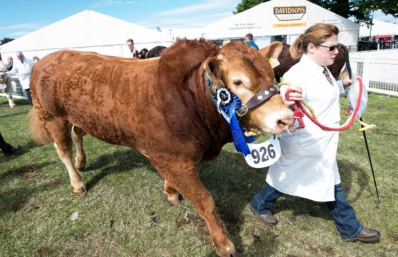 The Royal Highland Show in 2018