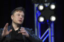 Billionaire Elon Musk said that the panic was "dumb"