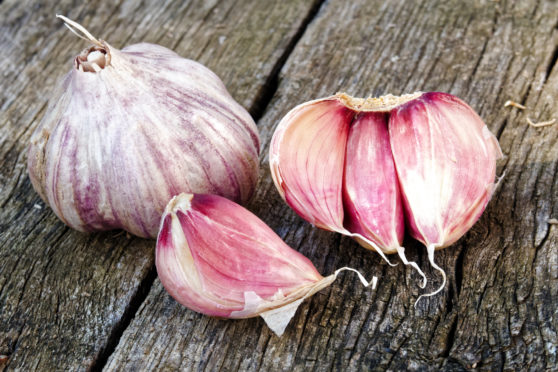 Whole garlic with broken bulb and pink cloves on rustic wooden board.