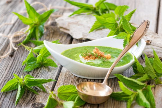 Nettle soup.