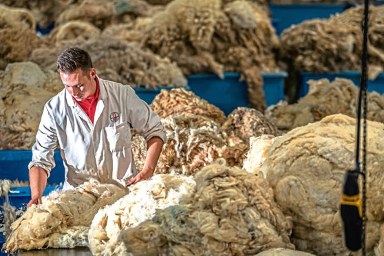 Around nine million kg of unsold British wool has been left from the 2019-20 clip of 27m kg.