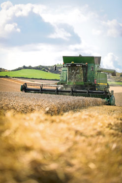 Scotland fared better than the rest of the UK, with the wheat area only down 11%.