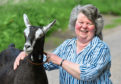 Agnes Aitken will be judging the goats section at the Scottish Agricultural Show. Picture by Chris Sumner.