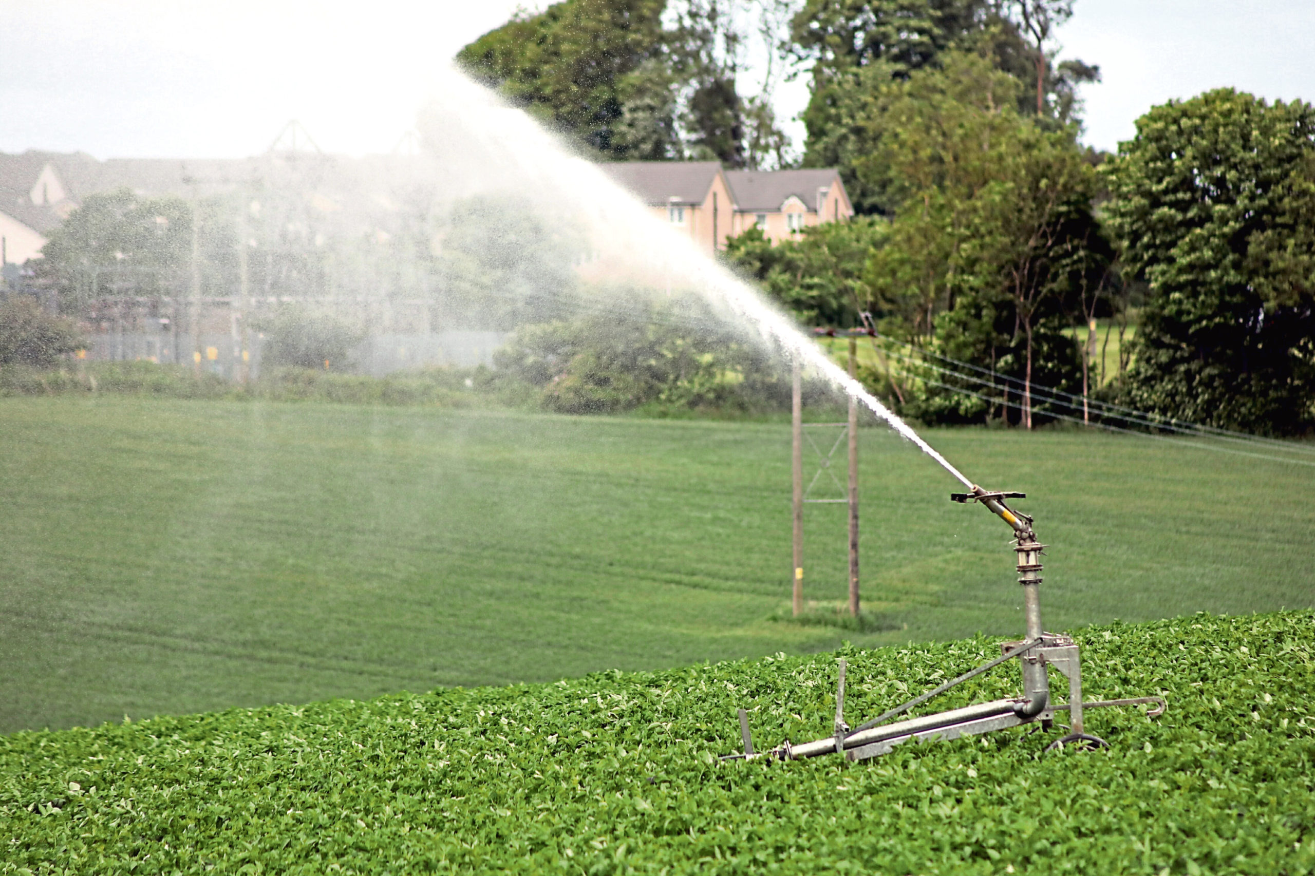 NFUS is urging growers to only irrigate their crops when it is absolutely necessary.