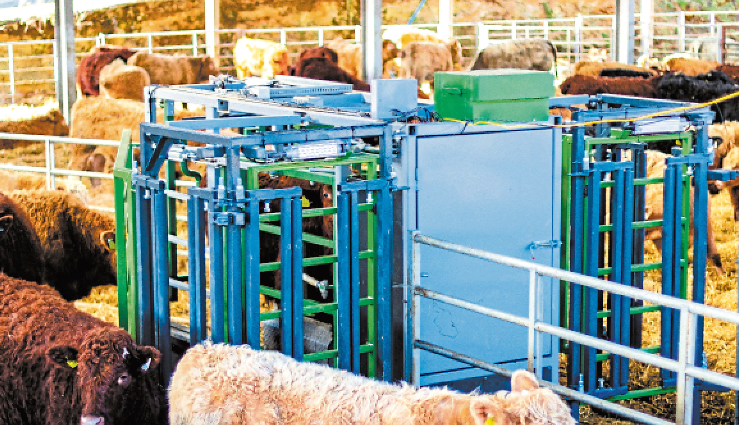 The stockman system from Herd Advance.