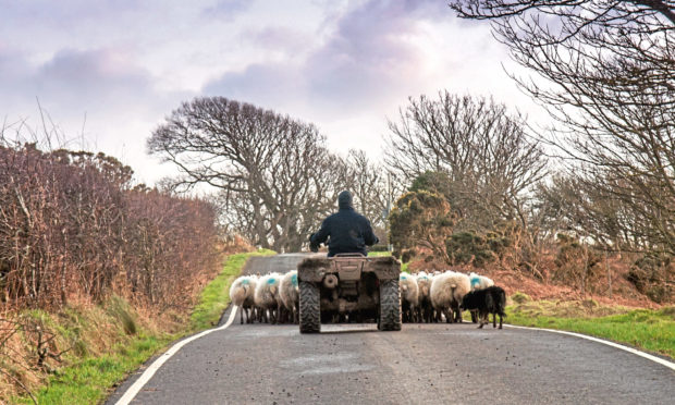 Three out of four Scottish farmers have a pessimistic or sceptical view about the industry’s future outside of Europe, according to a new survey.