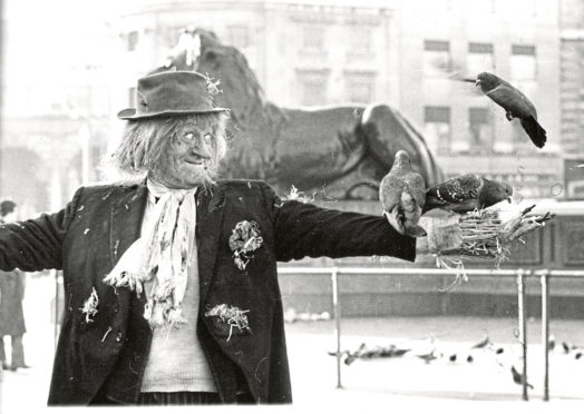 TOUSLED EXAMPLE: Scarecrow Worzel Gummidge was known for his straw hair and less than well groomed appearance
