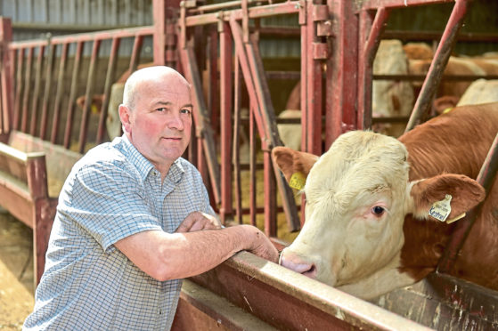 Michael Durno is one of three beef cattle judges at the event.