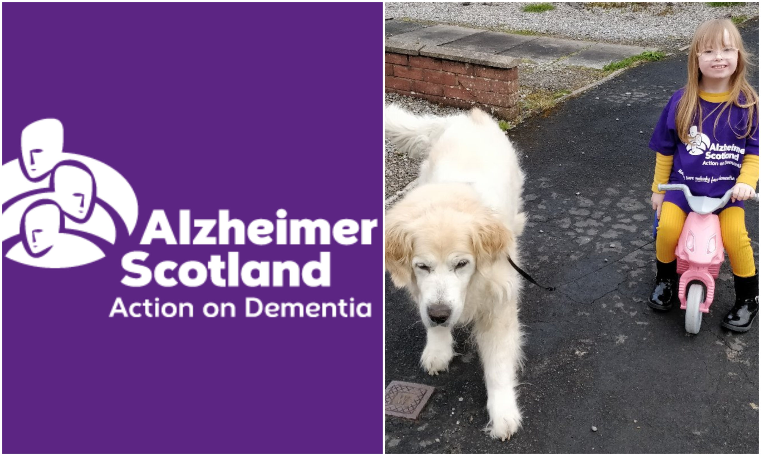 Abigail Earl and Toby the 12-year-old golden retriever have been fundraising for Alzheimer Scotland