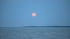 A Strawberry Moon will be visible tonight.