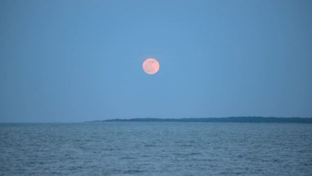 A Strawberry Moon will be visible tonight.