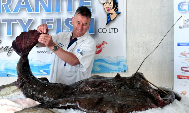 Ed Fletcher, Granite City Fish owner with the monkfish.
Picture by....Chris Sumner