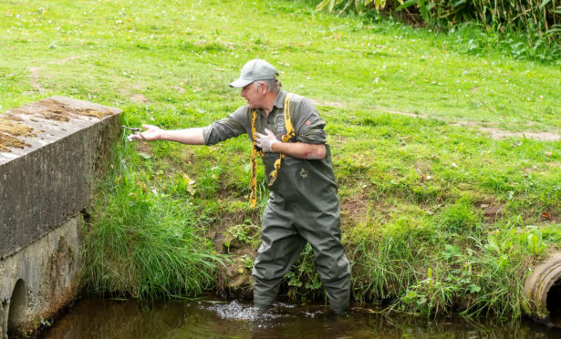 Water Bailiff Alaster Taylor recovers dead fish from the burn.