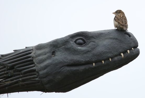 The sparrows' nest in the Loch Ness Monster head