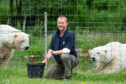 Animal collection manager Keith Gilchrist with polar bears Arktos and Walker at the Highland Wildlife Park.
Picture by Jason Hedges