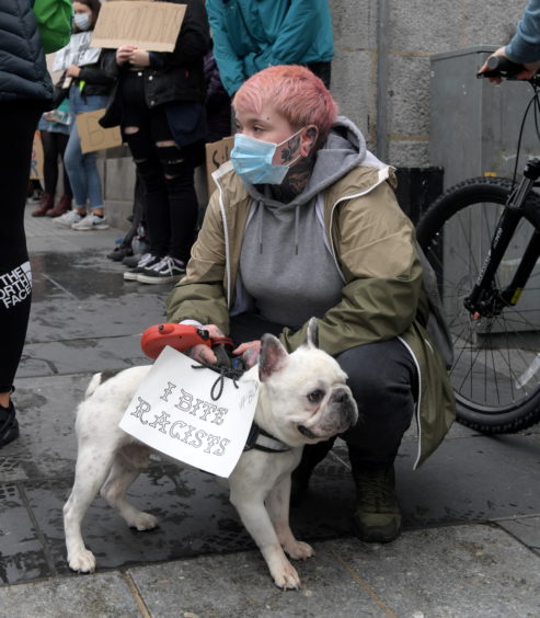 A dog wearing a sign at the protest. 
Photo by Kath Flannery