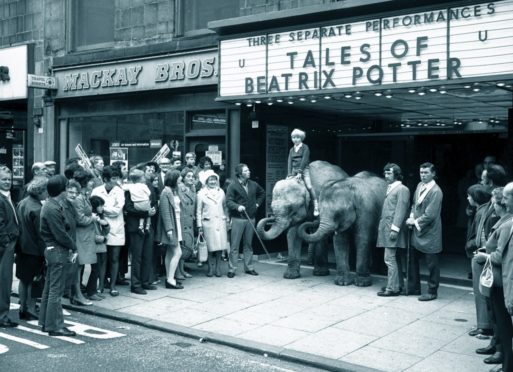 The Robert Brothers Circus baby elephants Maureen and Catzelia caused quite a stir at the ABC Cinema in 1971.