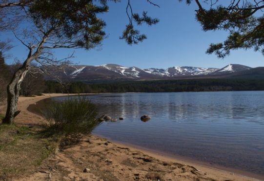 Loch Morlich with the Cairngorms behind, part of the Cairngorm National Park.
Picture by Sandy McCook