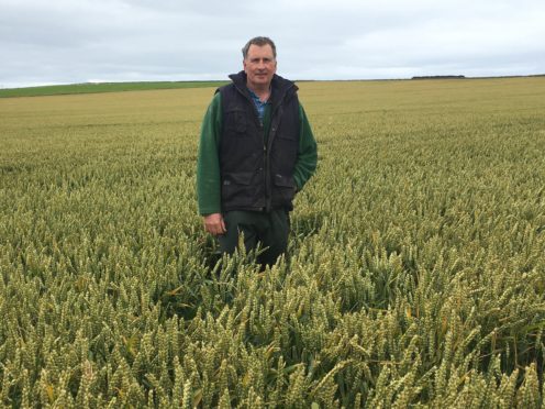 John Gray in his winning crop.