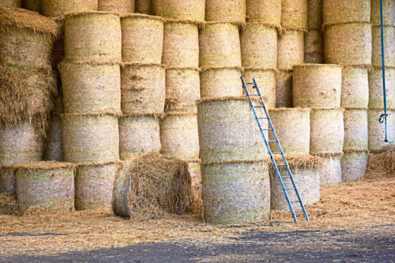 ladder and hay bales in storage; Shutterstock ID 430982734; Purchase Order: -

Farm ladder bales - health and safety picture