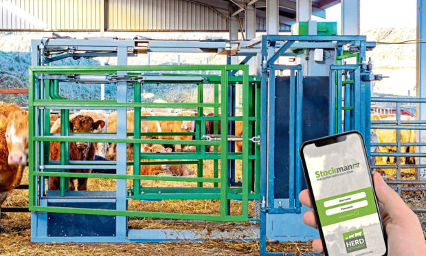 The Stockman system from Herd Advance