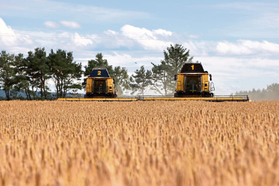 Two New Holland combines cutting a crop of Sunningdale winter barley at Corskie Farm, Garmouth, Fochabers, on July 17, 2020. Pic provided by Laura Beattie from WJ Green.