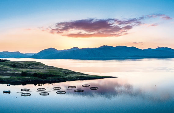 Aerial view of coast by Appin with views over Shuna Island and Arnamurchan, Scotland