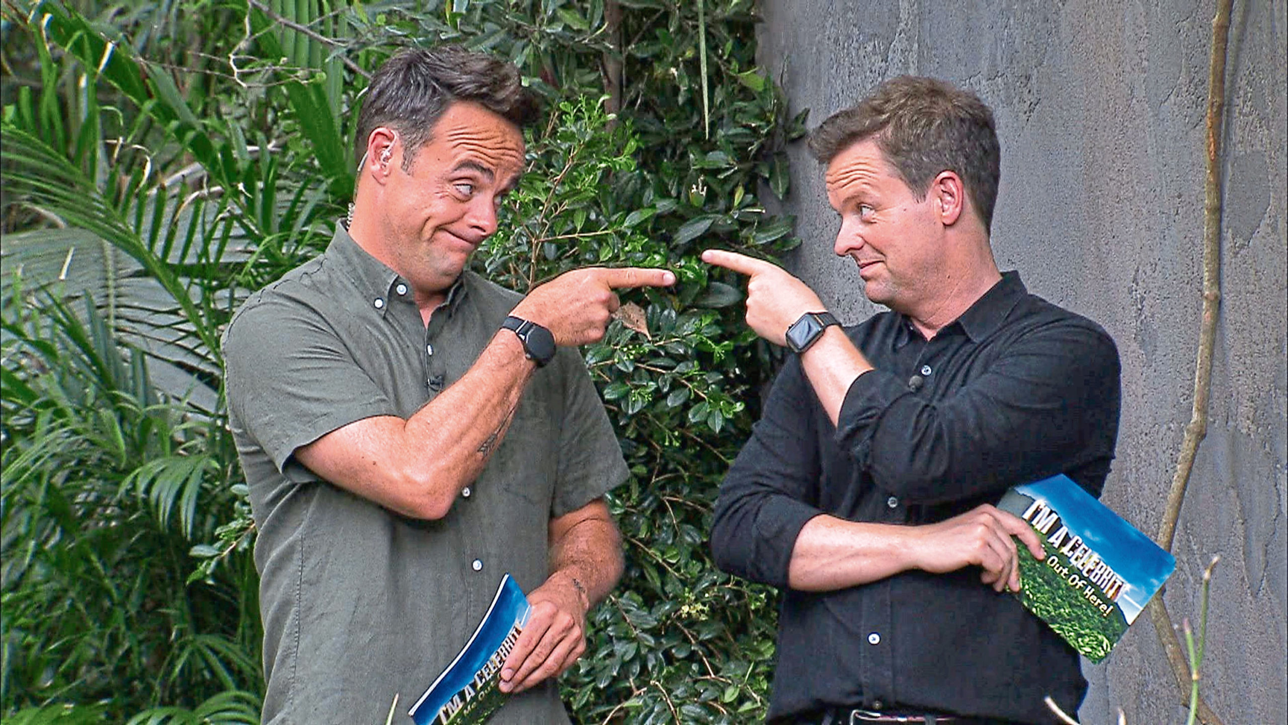 Anthony McPartlin and Declan Donnelly host
'I'm a Celebrity... Get Me Out of Here!'