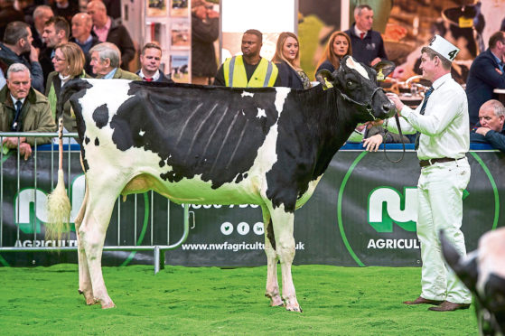 AgriScot usually features shows for dairy cattle, seminars and a host of trade stands.