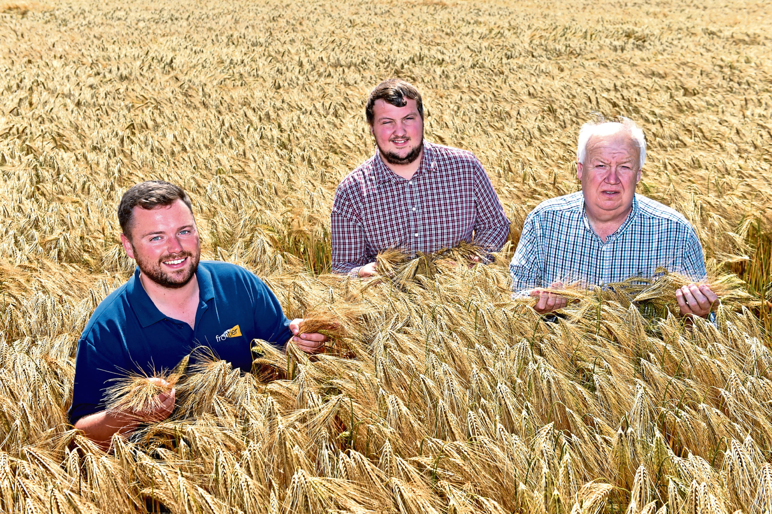 Steven Penrice, Andrew Murphy and David Murphy in their winning crop of Kingston winter barley.