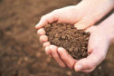The soil project involves five growers on the east of Scotland using ‘very different and interesting methods’.