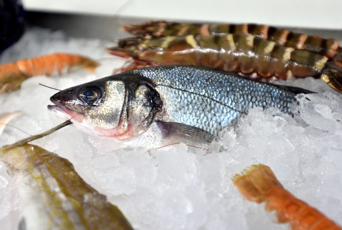 The seafood sector will play a role in Aberdeenshire's Covid-19 recovery.