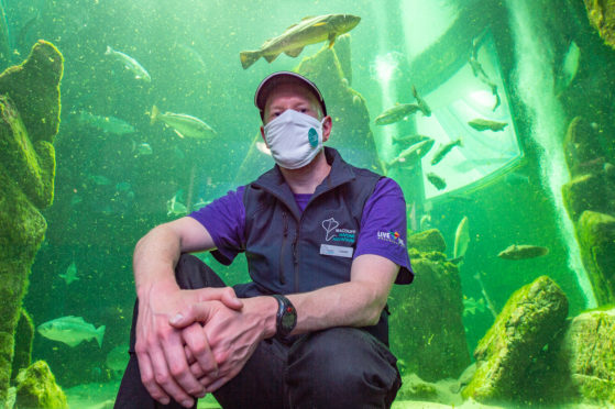 Aquarist, Frazer Mackay is pictured with a reusable facemask at the aquarium.