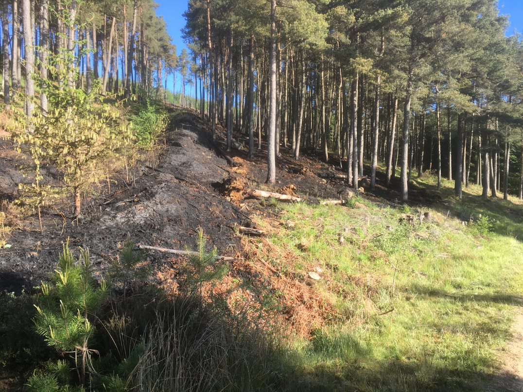 Damage from a fire at Pitfichie Forest near Kemnay in 2020.