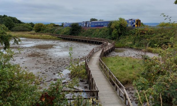 Conservationists are to undertake repairs on the boardwalk to secure its future at the reserve.