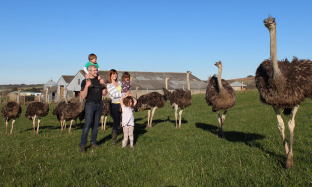 George and Isla French with their children Joy, Felicity and George at Little Rowater Farm, Aberdeenshire