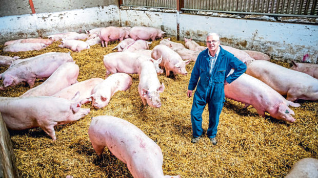 Roderic Bruce is the new chairman of Scottish Pig Producers.