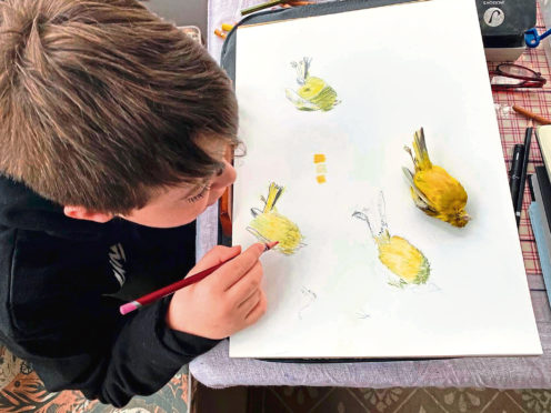 A young wildlife artist at work.
