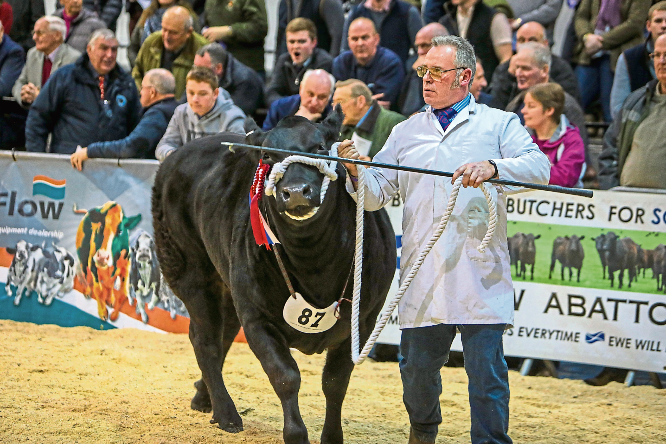 Exhibitors at this year's show will not be able to parade their animals around the ring.