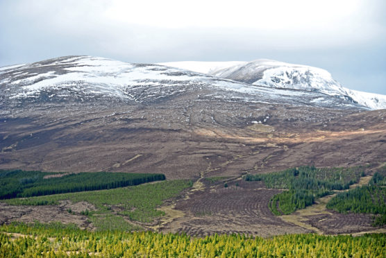 Inverness players climbed Ben Wyvis